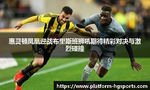 惠灵顿凤凰迎战布里斯班狮吼期待精彩对决与激烈碰撞